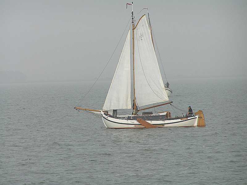 De wite duif klaar voor vlucht